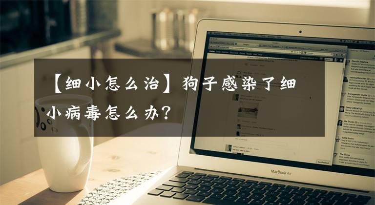 【细小怎么治】狗子感染了细小病毒怎么办？