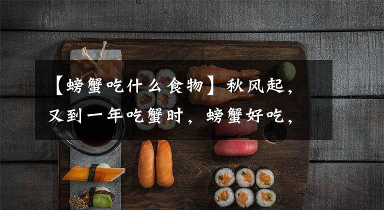 【螃蟹吃什么食物】秋风起，又到一年吃蟹时，螃蟹好吃，也不是谁都能吃