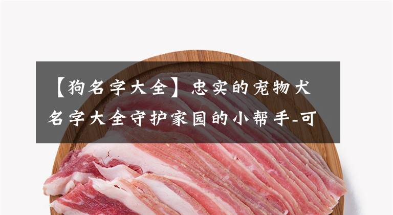 【狗名字大全】忠实的宠物犬名字大全守护家园的小帮手-可爱点