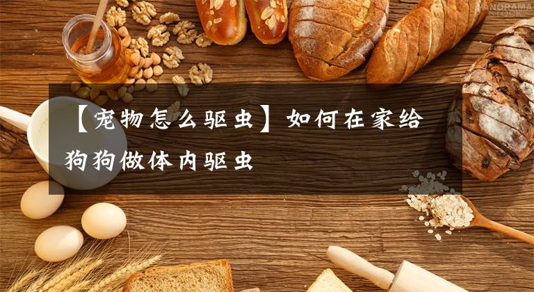 【宠物怎么驱虫】如何在家给狗狗做体内驱虫