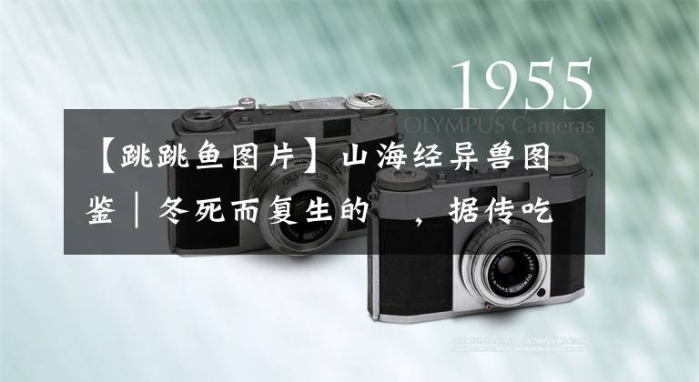 【跳跳鱼图片】山海经异兽图鉴｜冬死而复生的鯥，据传吃了鯥的肉可除身上的不适