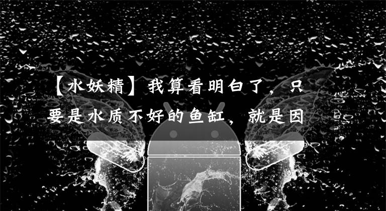 【水妖精】我算看明白了,只要是水质不好的鱼缸,就是因为下列这些原因