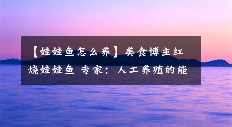 【娃娃鱼怎么养】美食博主红烧娃娃鱼 专家：人工养殖的能吃也能养