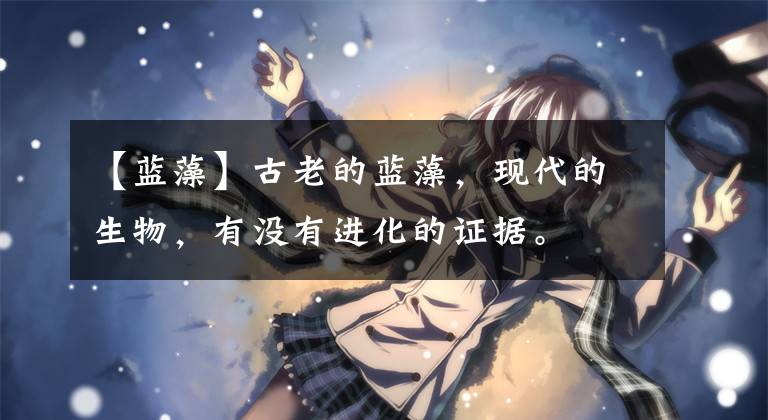 【蓝藻】古老的蓝藻,现代的生物,有没有进化的证据。