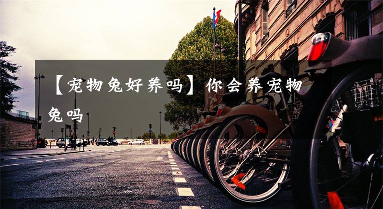 【宠物兔好养吗】你会养宠物兔吗