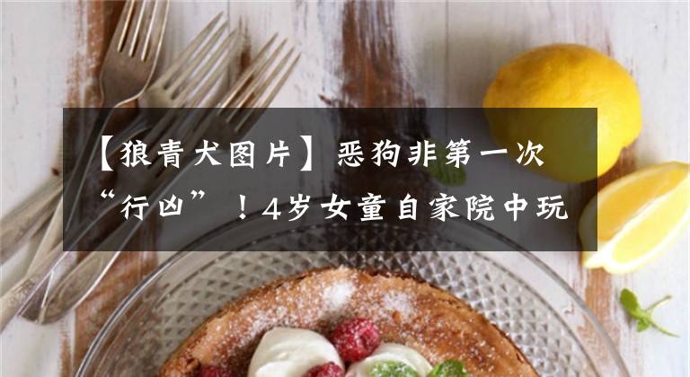 【狼青犬图片】恶狗非第一次“行凶”!4岁女童自家院中玩耍,被其拖走撕咬 律师:狗主人恐面临刑责