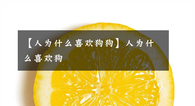 【人为什么喜欢狗狗】人为什么喜欢狗