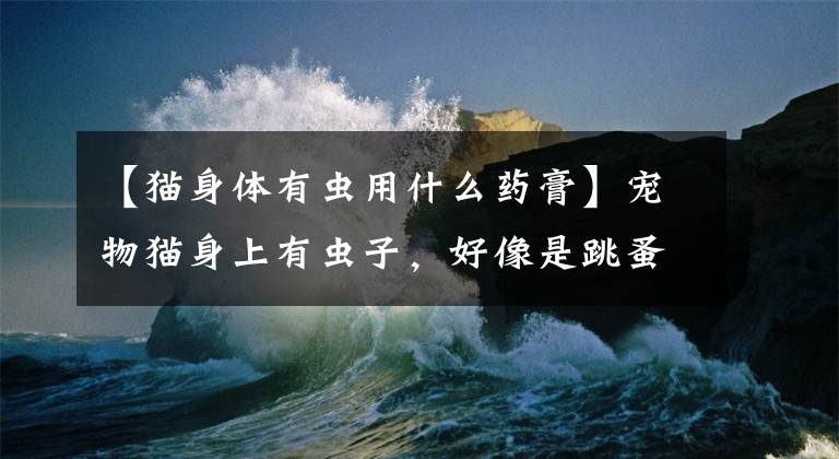 【猫身体有虫用什么药膏】宠物猫身上有虫子，好像是跳蚤，怎么办