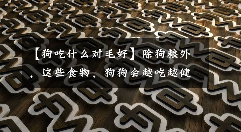 【狗吃什么对毛好】除狗粮外，这些食物，狗狗会越吃越健康