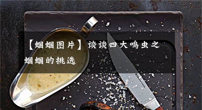 【蝈蝈图片】谈谈四大鸣虫之蝈蝈的挑选