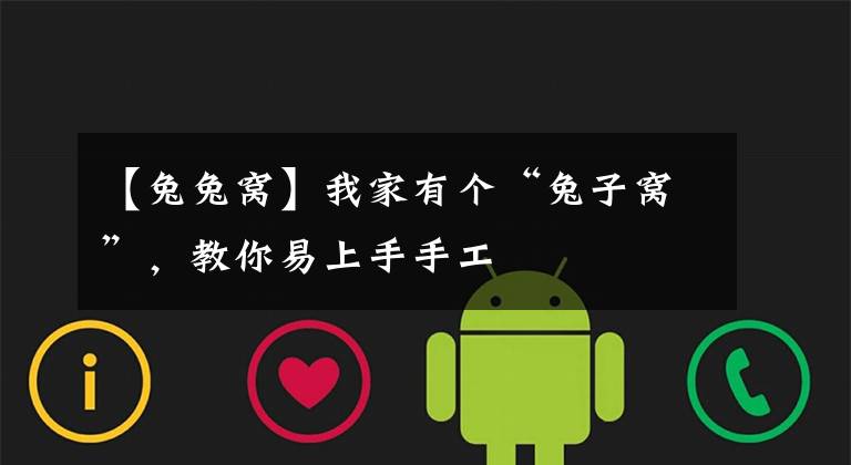 【兔兔窝】我家有个“兔子窝”，教你易上手手工