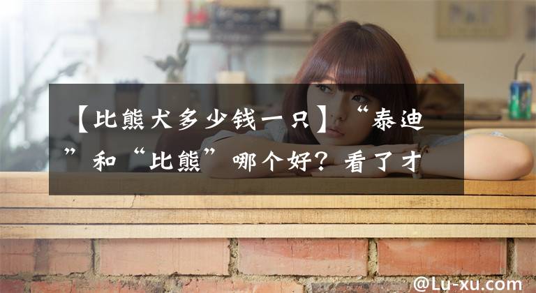 【比熊犬多少钱一只】“泰迪”和“比熊”哪个好？看了才知道，差别这么大