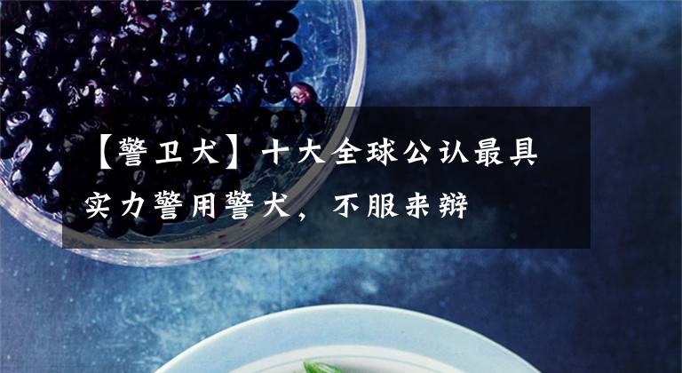 【警卫犬】十大全球公认最具实力警用警犬，不服来辩