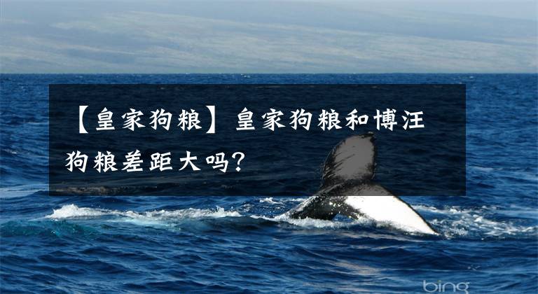 【皇家狗粮】皇家狗粮和博汪狗粮差距大吗？