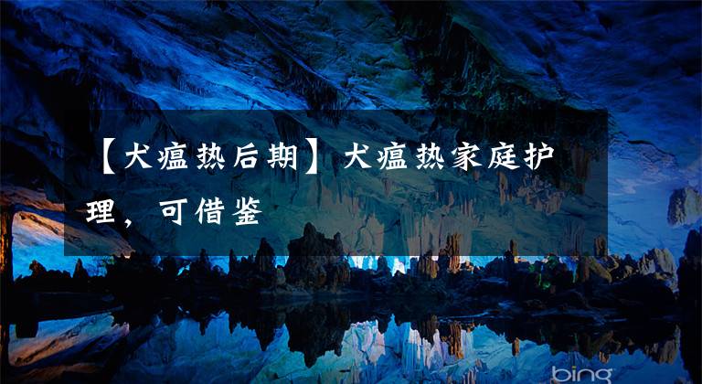 【犬瘟热后期】犬瘟热家庭护理，可借鉴