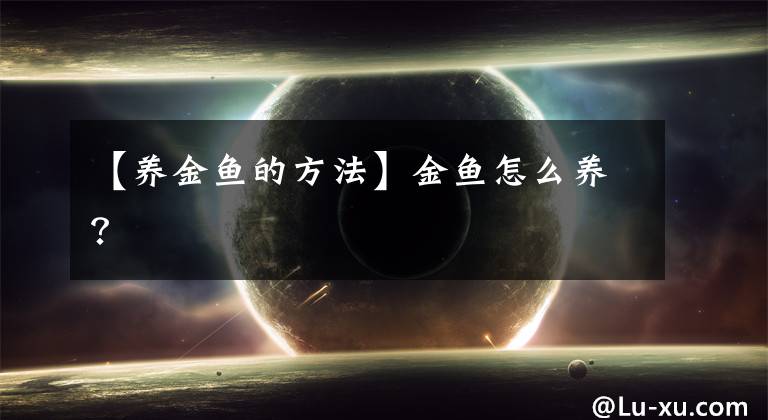 【养金鱼的方法】金鱼怎么养?