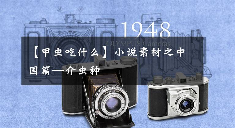 【甲虫吃什么】小说素材之中国篇—介虫种