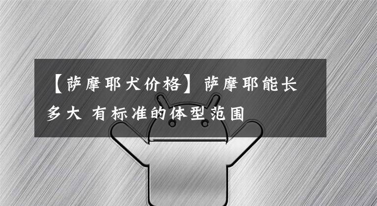 【萨摩耶犬价格】萨摩耶能长多大 有标准的体型范围