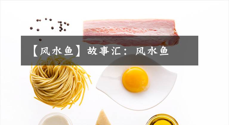 【风水鱼】故事汇：风水鱼