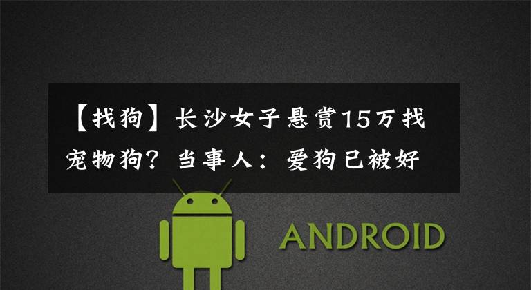 【找狗】长沙女子悬赏15万找宠物狗?当事人:爱狗已被好心人送医,我们一定会支付酬金