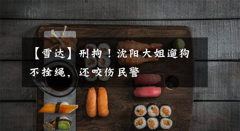 【雪达】刑拘！沈阳大姐遛狗不拴绳，还咬伤民警