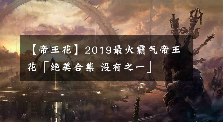 【帝王花】2019最火霸气帝王花「绝美合集 没有之一」