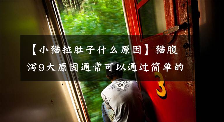 【小猫拉肚子什么原因】猫腹泻9大原因通常可以通过简单的治疗恢复，但特别的原因需要调查