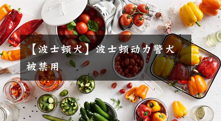 【波士顿犬】波士顿动力警犬被禁用