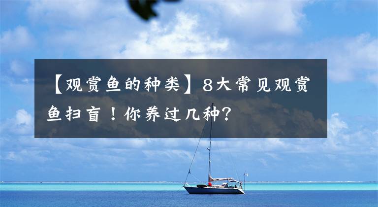 【观赏鱼的种类】8大常见观赏鱼扫盲!你养过几种?