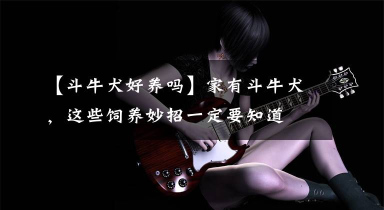 【斗牛犬好养吗】家有斗牛犬，这些饲养妙招一定要知道