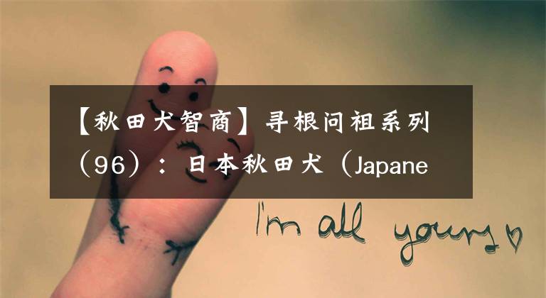 【秋田犬智商】寻根问祖系列（96）：日本秋田犬（Japanese Akita）