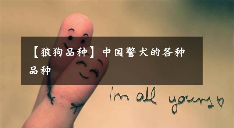 【狼狗品种】中国警犬的各种品种
