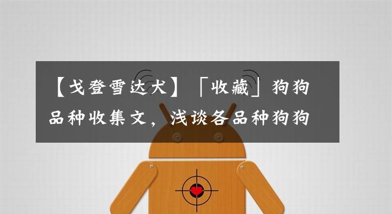 【戈登雪达犬】「收藏」狗狗品种收集文,浅谈各品种狗狗及图片大全(中)!