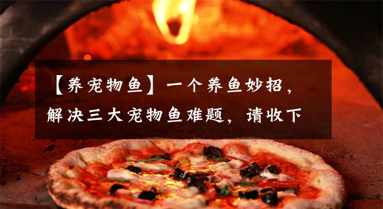 【养宠物鱼】一个养鱼妙招，解决三大宠物鱼难题，请收下，别客气！