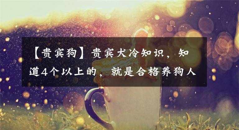 【贵宾狗】贵宾犬冷知识,知道4个以上的,就是合格养狗人