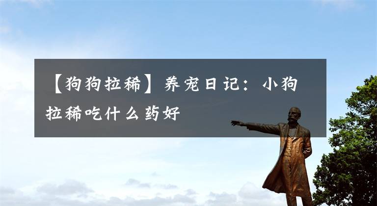 【狗狗拉稀】养宠日记:小狗拉稀吃什么药好