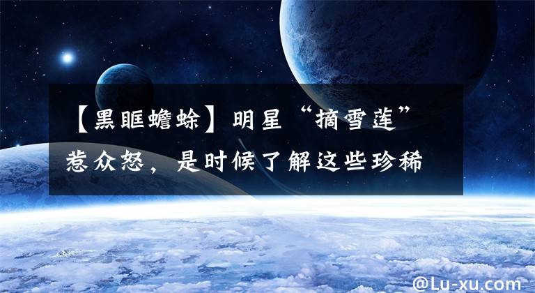 【黑眶蟾蜍】明星“摘雪莲”惹众怒,是时候了解这些珍稀动植物了