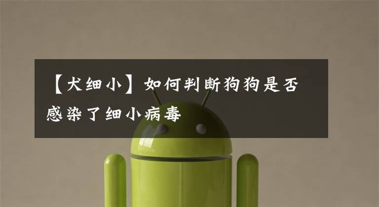 【犬细小】如何判断狗狗是否感染了细小病毒