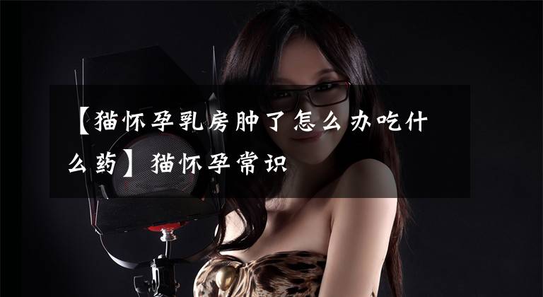 【猫怀孕乳房肿了怎么办吃什么药】猫怀孕常识