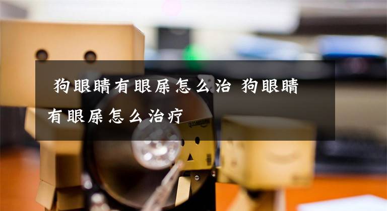  狗眼睛有眼屎怎么治 狗眼睛有眼屎怎么治疗