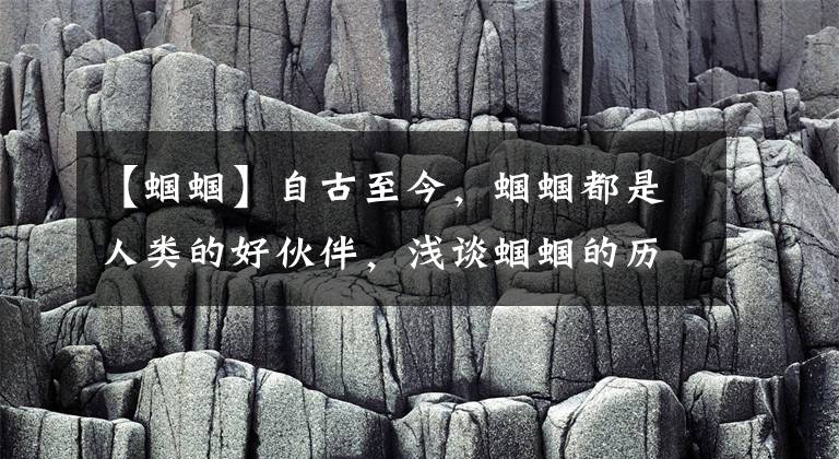 【蝈蝈】自古至今，蝈蝈都是人类的好伙伴，浅谈蝈蝈的历史与饲养