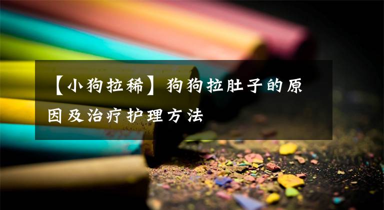 【小狗拉稀】狗狗拉肚子的原因及治疗护理方法