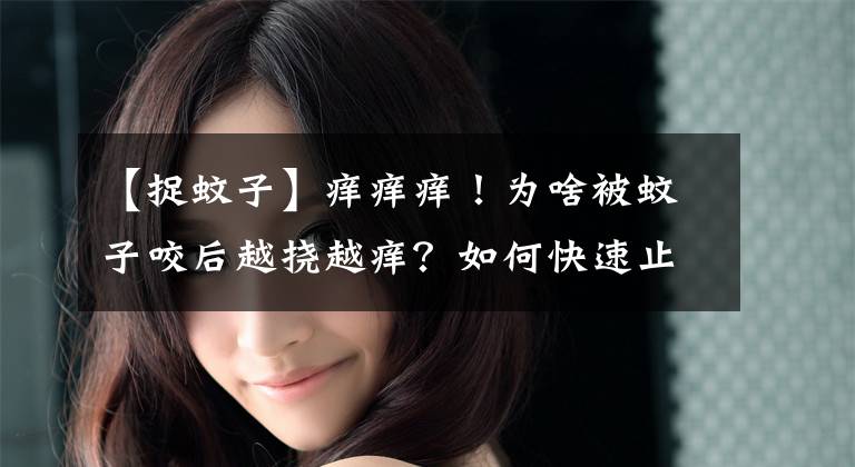 【捉蚊子】痒痒痒！为啥被蚊子咬后越挠越痒？如何快速止痒？方法全在这