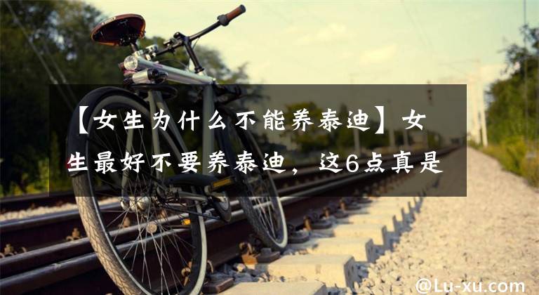 【女生为什么不能养泰迪】女生最好不要养泰迪,这6点真是没人能受得了,真是无语