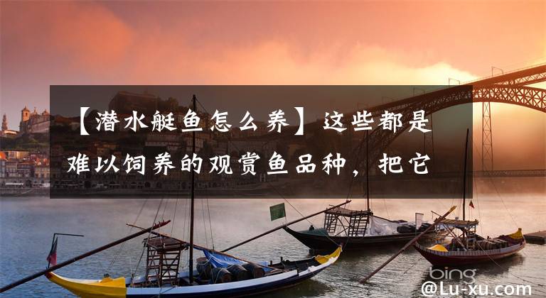 【潜水艇鱼怎么养】这些都是难以饲养的观赏鱼品种，把它们轻松养活的鱼友会有多少？