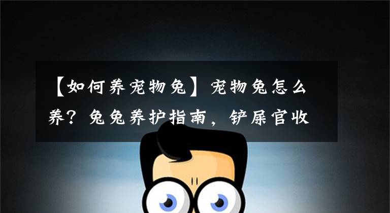 【如何养宠物兔】宠物兔怎么养?兔兔养护指南,铲屎官收藏