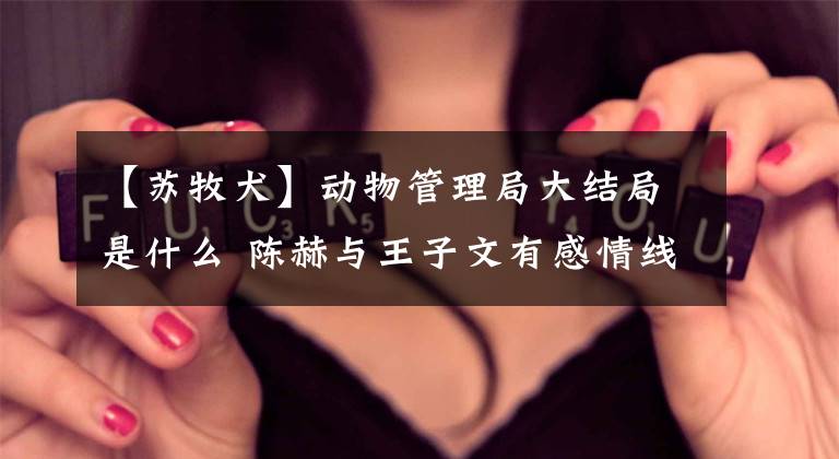 【苏牧犬】动物管理局大结局是什么 陈赫与王子文有感情线吗
