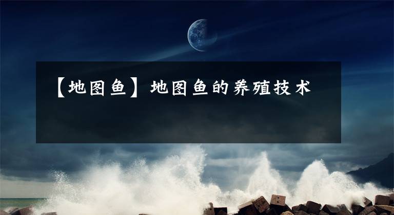 【地图鱼】地图鱼的养殖技术