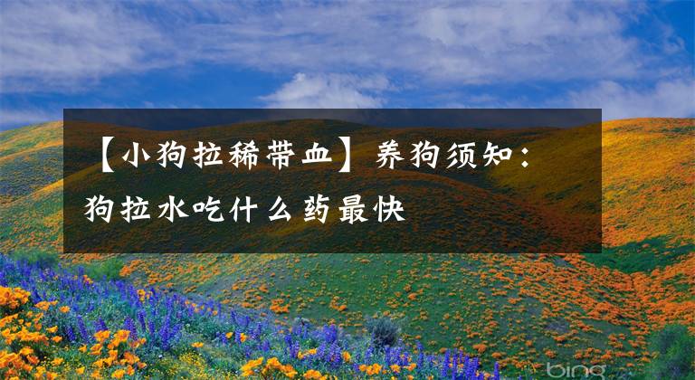 【小狗拉稀带血】养狗须知：狗拉水吃什么药最快