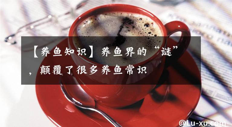 【养鱼知识】养鱼界的“谜”，颠覆了很多养鱼常识